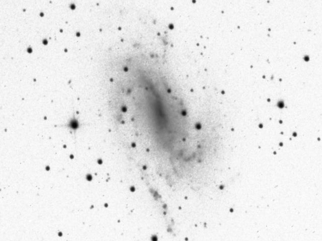 NGC 925.jpg